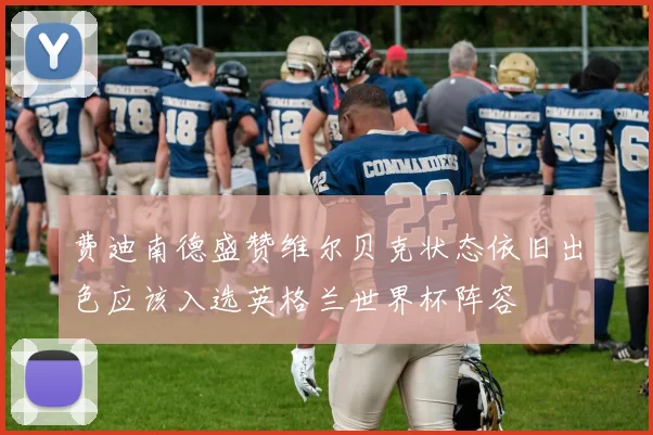 费迪南德盛赞维尔贝克状态依旧出色应该入选英格兰世界杯阵容